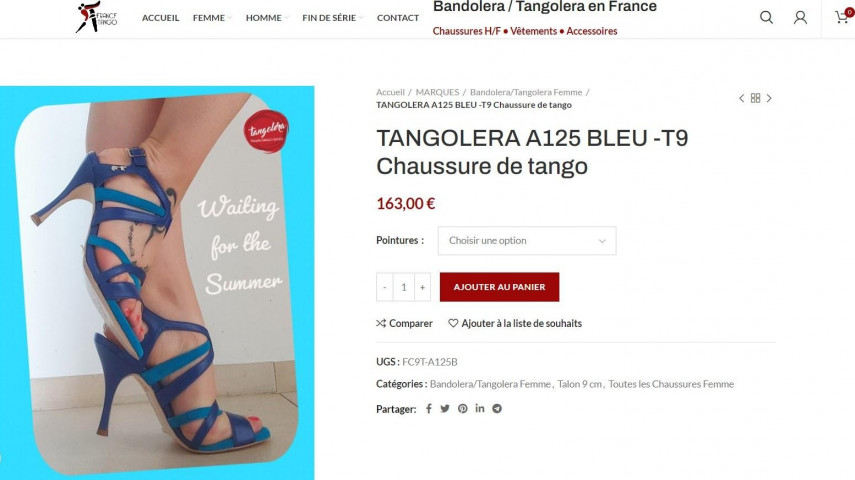 Boutique e-commerce de chaussures de danse à reprendre - Auvergne-Rhône-Alpes